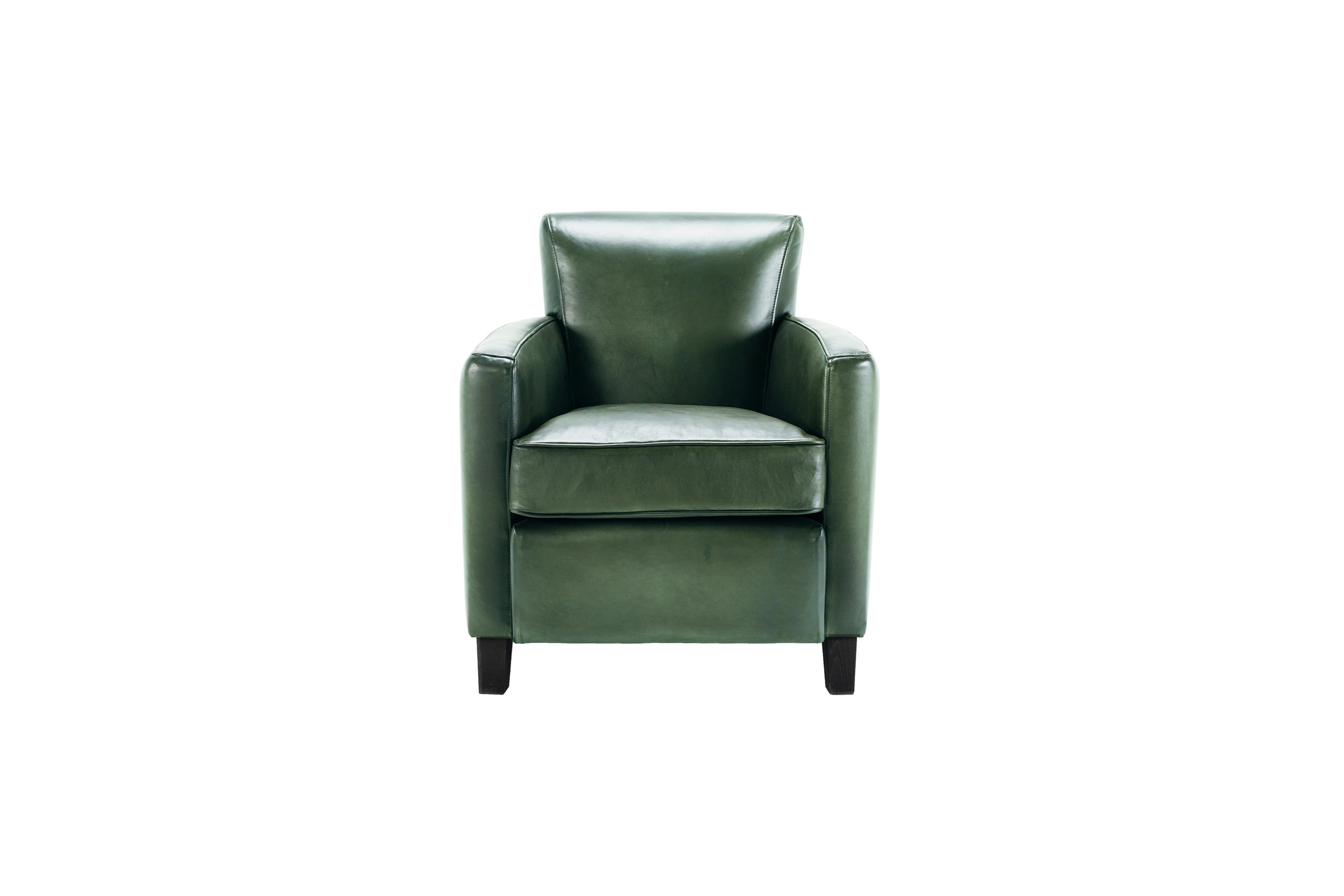 Fotoliu din piele Orbit