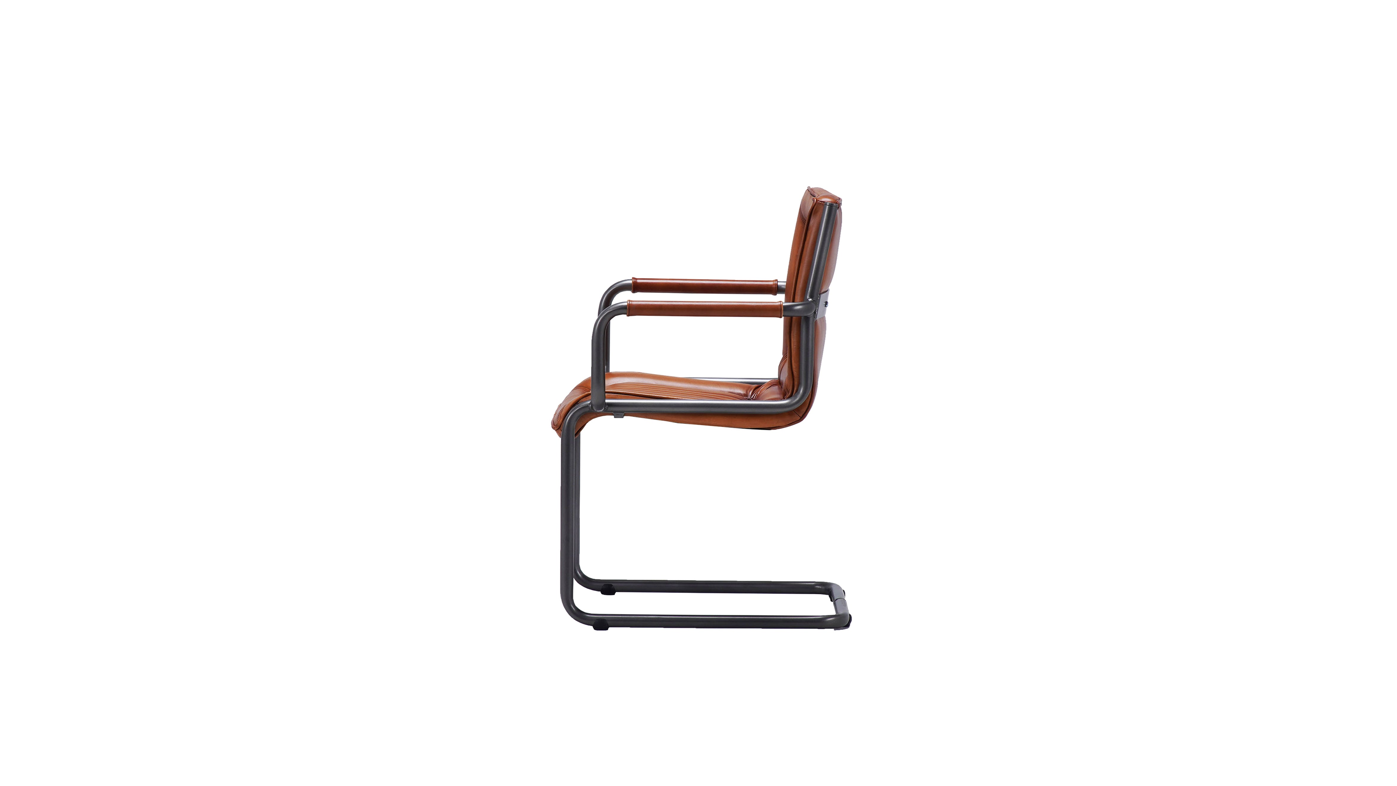 Nomad slim Borderstripe XLr leather chair